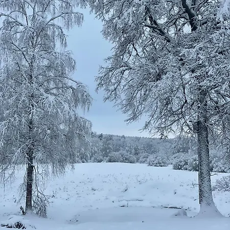 Puhkemaja Tondikaku Otepaa