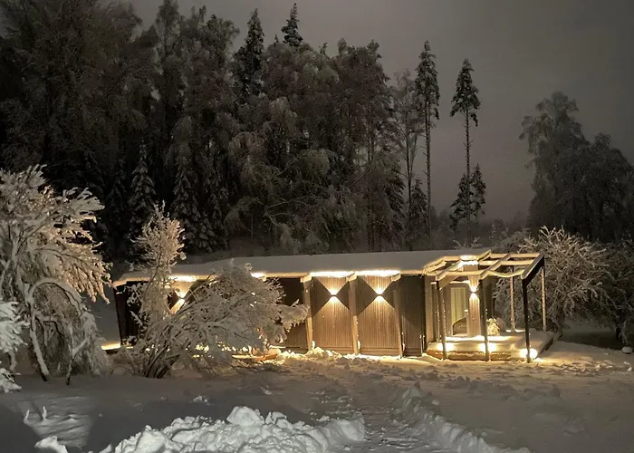 Tondikaku Holiday home Otepaa