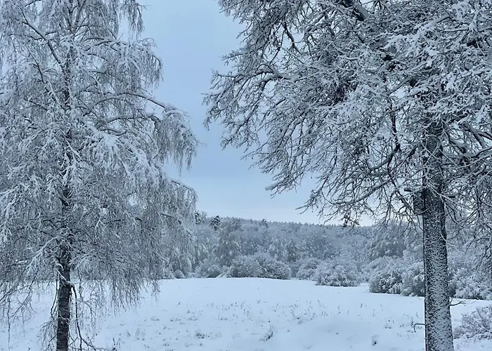 Puhkemaja Tondikaku Otepaa